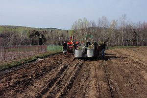 Spring lifting crew in action