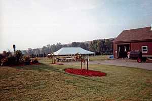 Meeting site before tree growers arrive. 