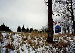 Asack and Son tree farm sign on maple tree just before driveway on left