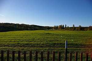 Land for future seedling and transplant beds