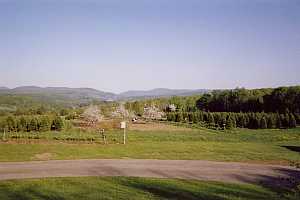 Asack & Son Home orchard in bloom 