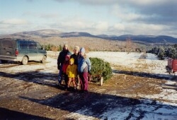 Christmas Tree Customers With a Christmas Tree