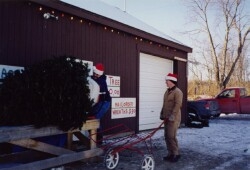 Andrew Asack Netting a choose and cut christmas tree