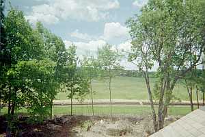 Roof top view seed beds